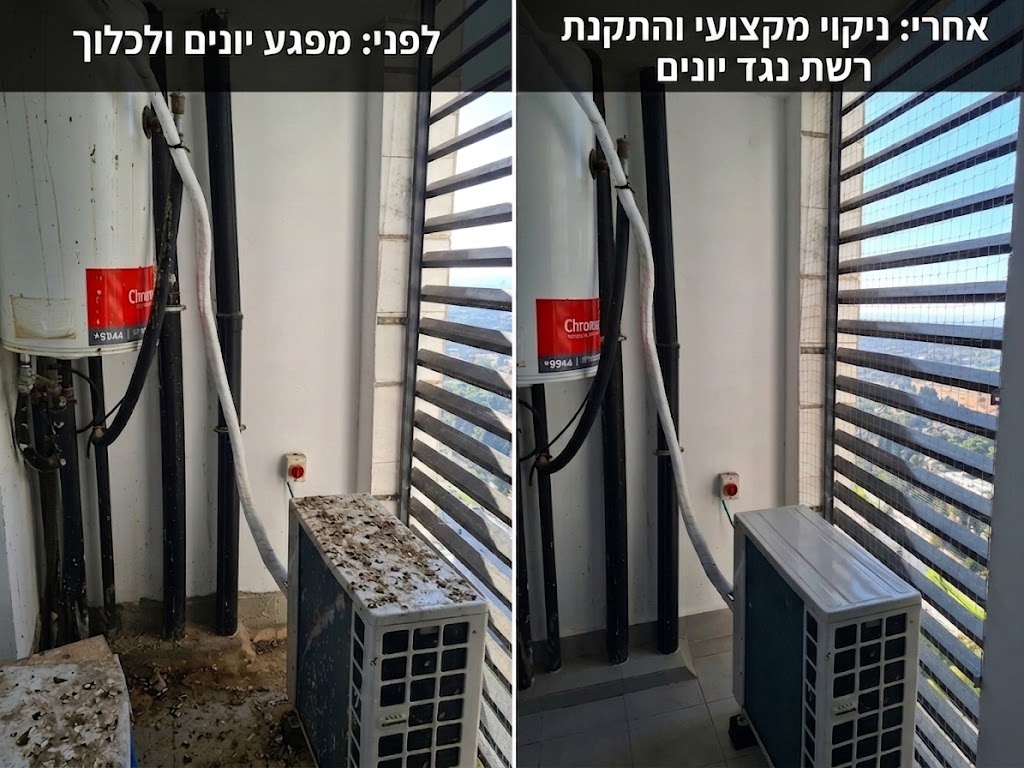 לפני ואחרי ניקוי לשלשת יונים והתקנת רשת באזור יחידות מיזוג